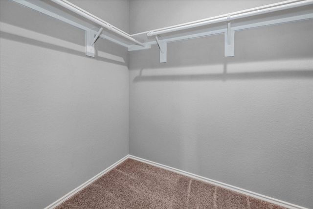 222 Cumberland Forest Drive, Magnolia, TX 77354