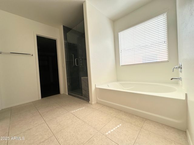 231 E MULE TRAIN Trail, San Tan Valley, AZ 85143