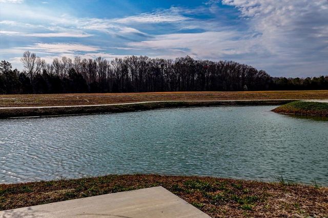 204 Zion Cove Lane, Englewood, TN 37329