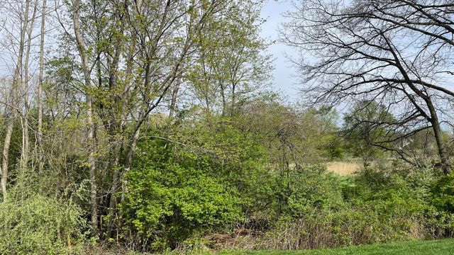 17302 Brookwood Drive, Lowell, IN 46356