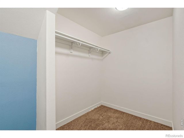 3201 Meadowlark Avenue, Fort Collins, CO 80526