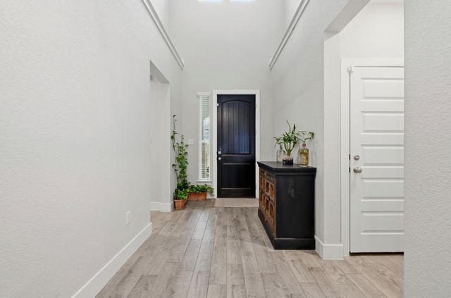 169 Soft Elm DR, Buda, TX 78610