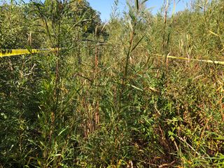 14 Alexandra Drive, Libertyville, IL 60048