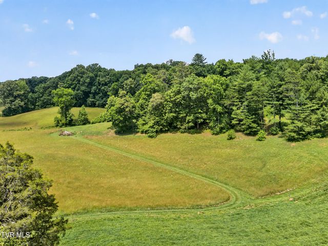 835 John Bird Road, Afton, TN 37616