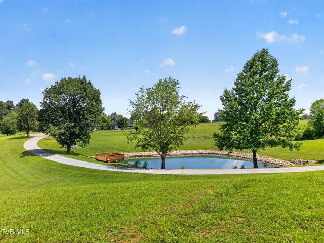 835 John Bird Road, Afton, TN 37616