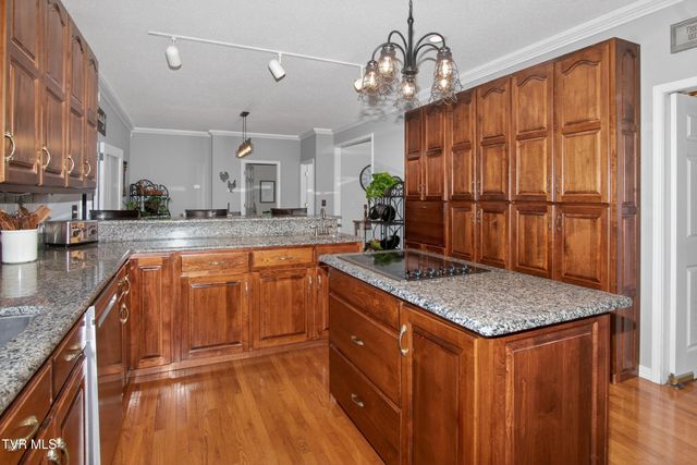 835 John Bird Road, Afton, TN 37616
