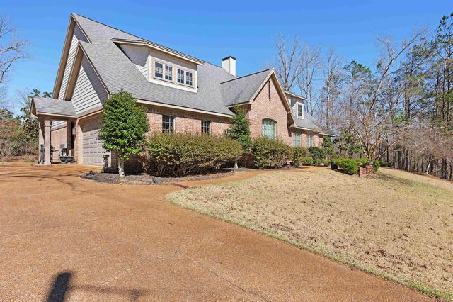 45 SHILOH FALLS CT, Counce, TN 38326