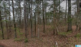 7410 DEWEY GOODWIN ROAD, Pinson, AL 35126