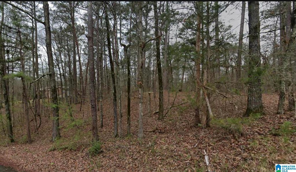 7410 DEWEY GOODWIN ROAD, Pinson, AL 35126