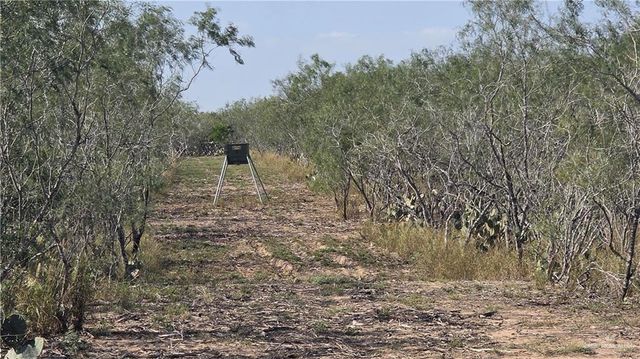 17391 Chapa Road, Edinburg, TX 78542