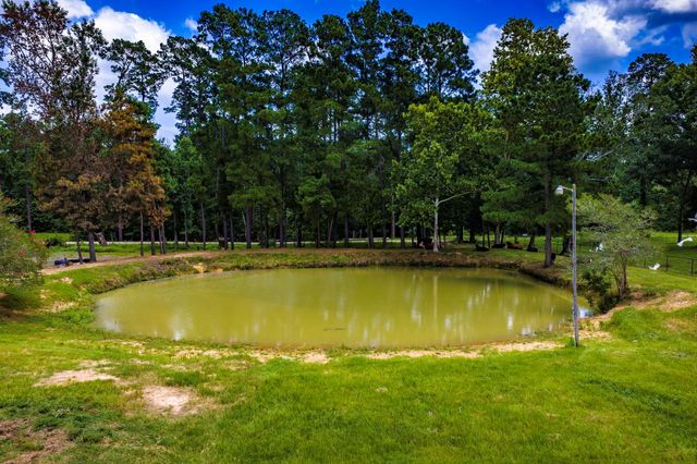 838 State Highway 150, New Waverly, TX 77358