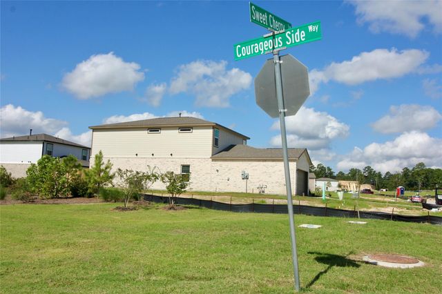 8411 Sweet Cherry Lane, Magnolia, TX 77354