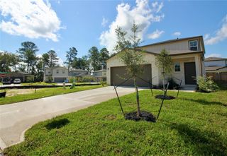 8411 Sweet Cherry Lane, Magnolia, TX 77354