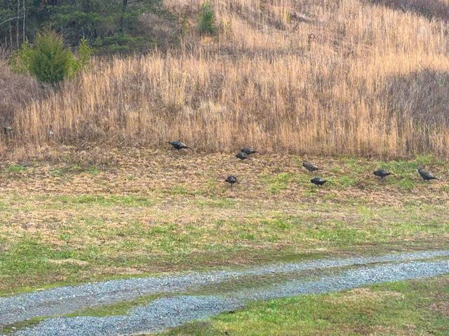 6270 KY 1809, Barbourville, KY 40906