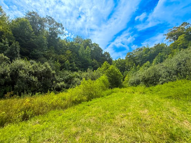 6270 KY 1809, Barbourville, KY 40906