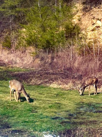 6270 KY 1809, Barbourville, KY 40906