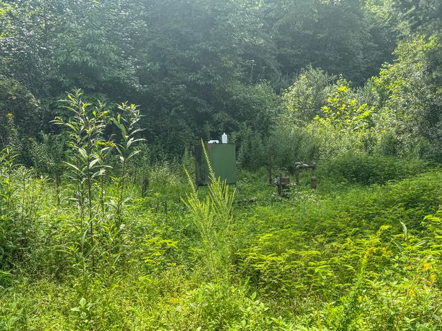 6270 KY 1809, Barbourville, KY 40906