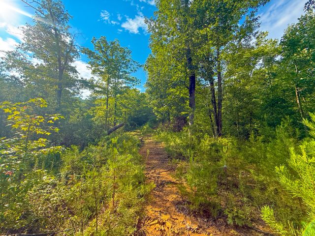 6270 KY 1809, Barbourville, KY 40906