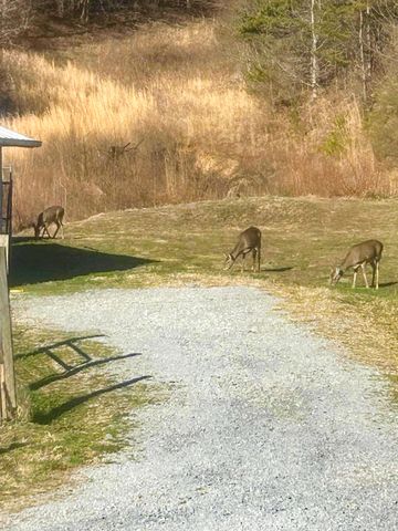 6270 KY 1809, Barbourville, KY 40906