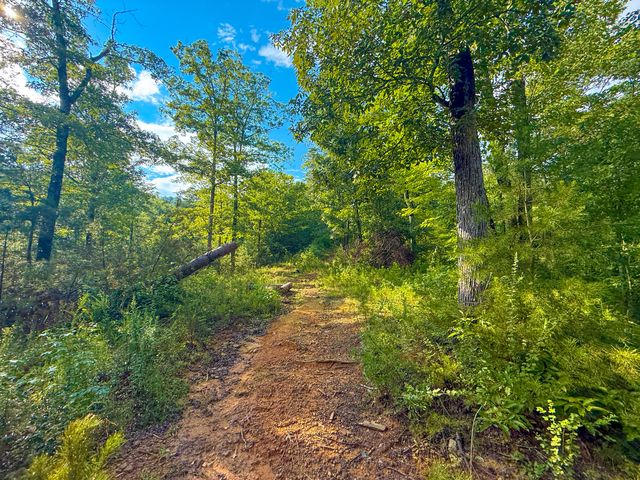 6270 KY 1809, Barbourville, KY 40906