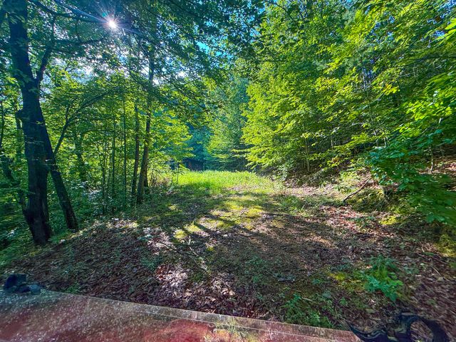 6270 KY 1809, Barbourville, KY 40906