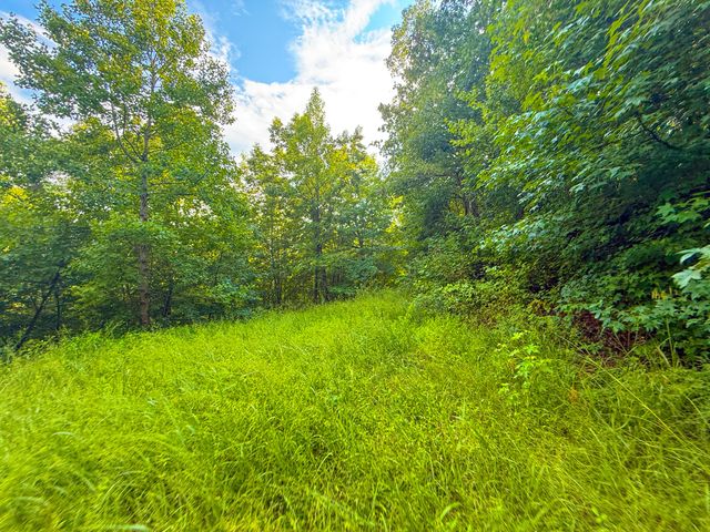 6270 KY 1809, Barbourville, KY 40906