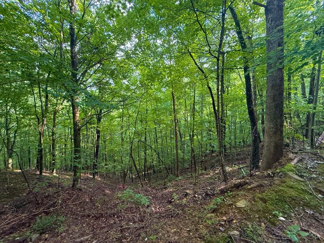 6270 KY 1809, Barbourville, KY 40906