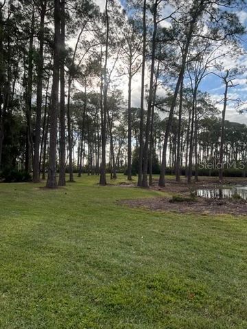50989 HIGHWAY 27 128, Davenport, FL 33897