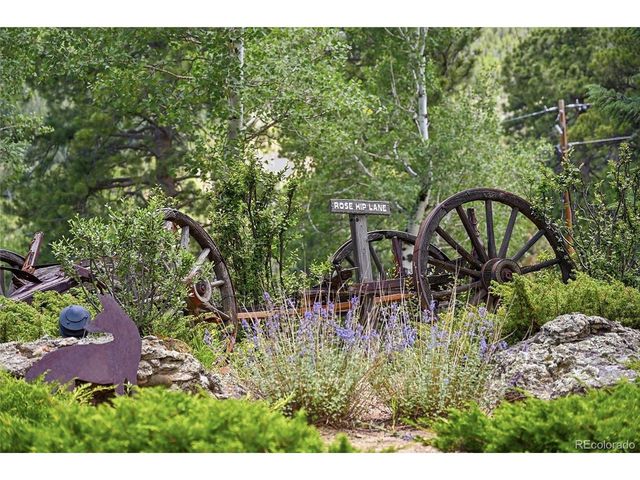 90 Rose Hip Ln, Evergreen, CO 80439