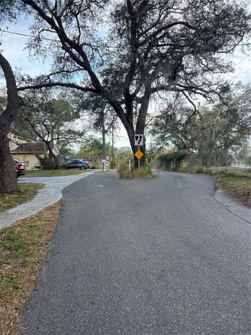 FORDE AVENUE, Tarpon Springs, FL 34689