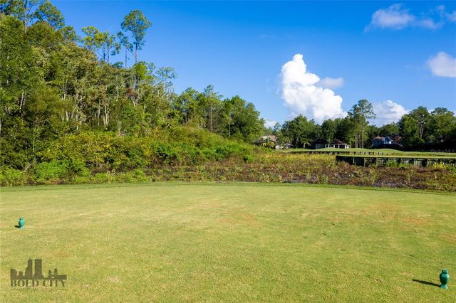 1413 COURSE VIEW, Orange Park, FL 32003