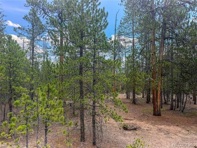 569 Birch Drive, Leadville, CO 80461