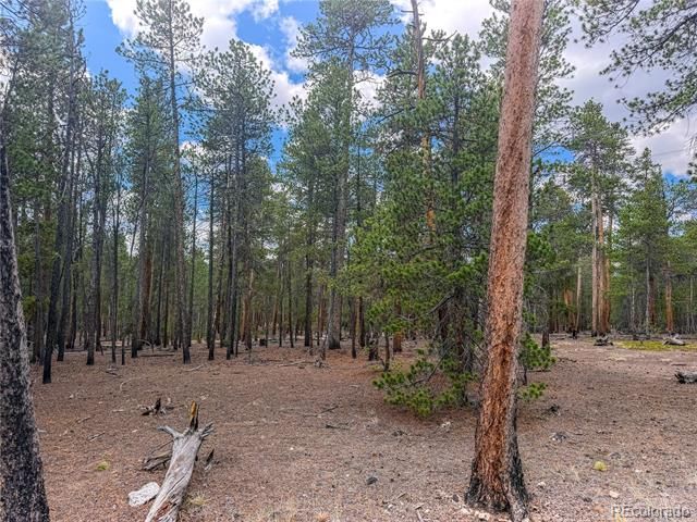 569 Birch Drive, Leadville, CO 80461