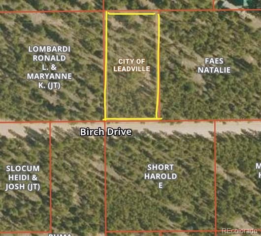 569 Birch Drive, Leadville, CO 80461