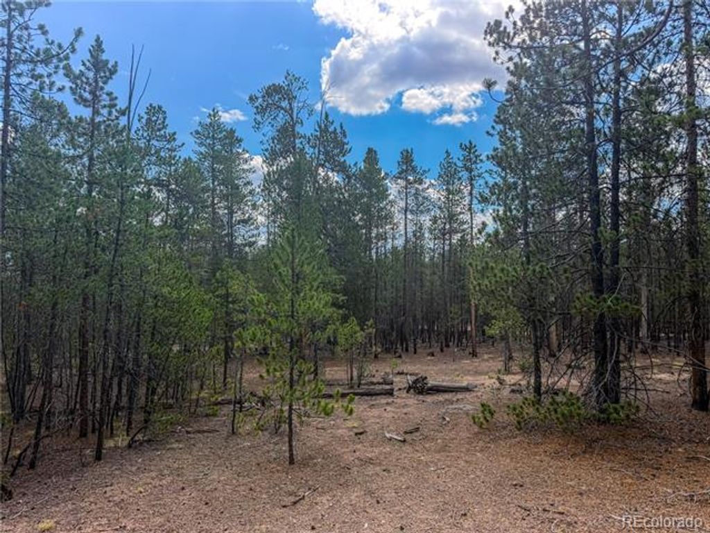 569 Birch Drive, Leadville, CO 80461