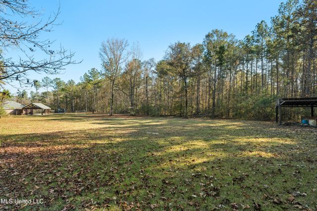 125 Canty Rayborn Road, Sumrall, MS 39482