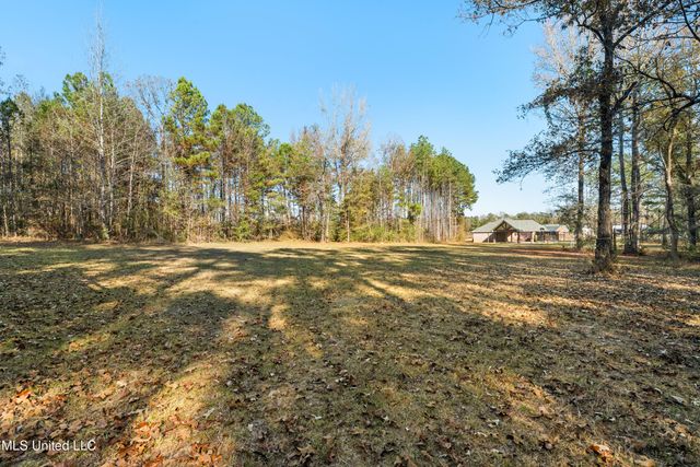 125 Canty Rayborn Road, Sumrall, MS 39482