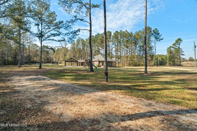 125 Canty Rayborn Road, Sumrall, MS 39482