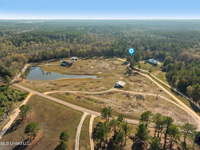 125 Canty Rayborn Road, Sumrall, MS 39482