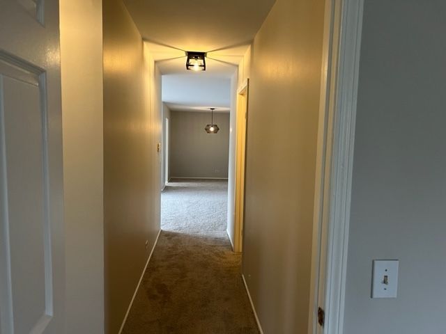 1437 Clairmont Court 200, Vernon Hills, IL 60061