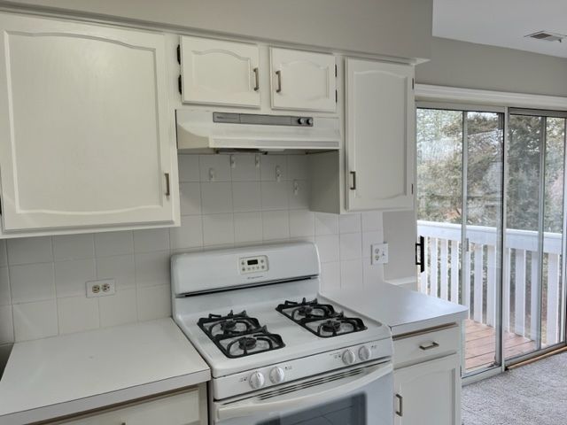 1437 Clairmont Court 200, Vernon Hills, IL 60061