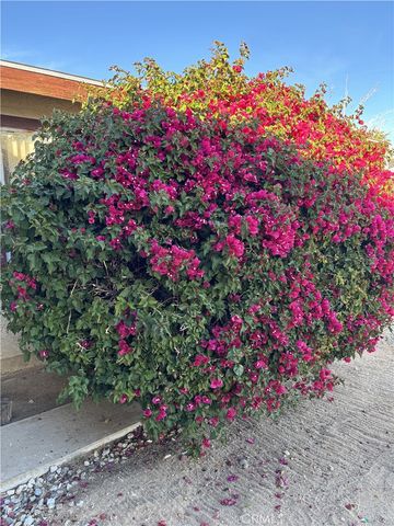 73078 Sunnyvale Drive, 29 Palms, CA 92277