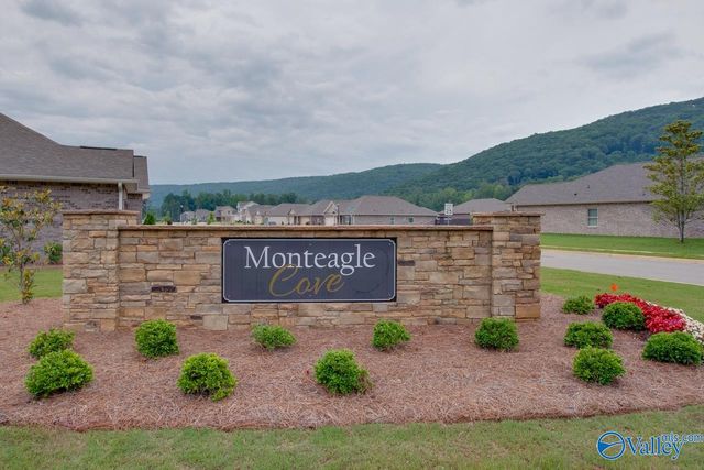 9119 Monteagle Boulevard, Owens Cross Roads, AL 35763