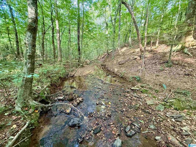 0 VALLEY ROAD, Goodwater, AL 35072