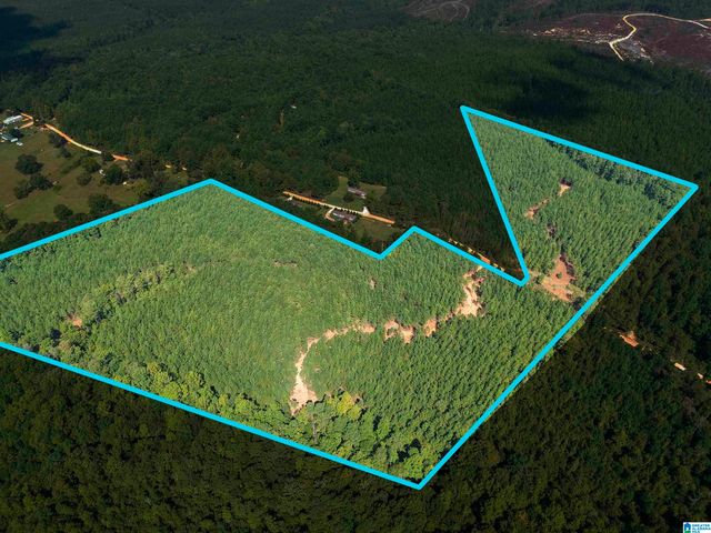 0 VALLEY ROAD, Goodwater, AL 35072