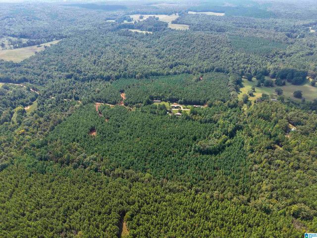 0 VALLEY ROAD, Goodwater, AL 35072