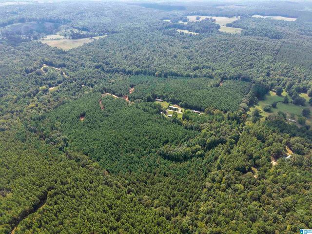 0 VALLEY ROAD, Goodwater, AL 35072