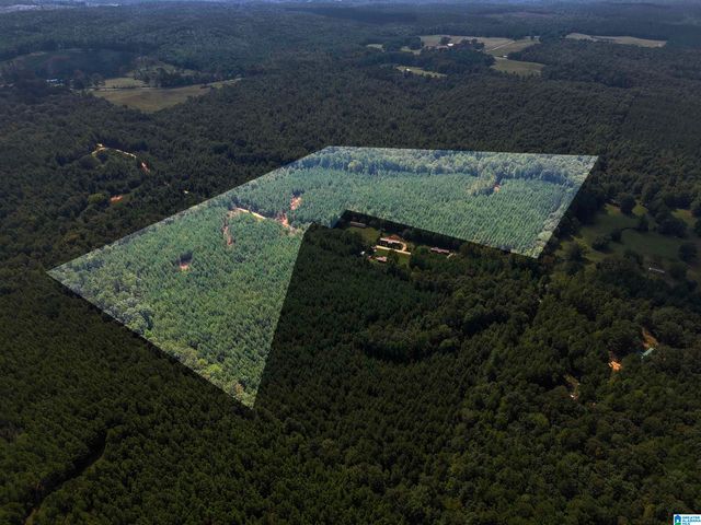 0 VALLEY ROAD, Goodwater, AL 35072