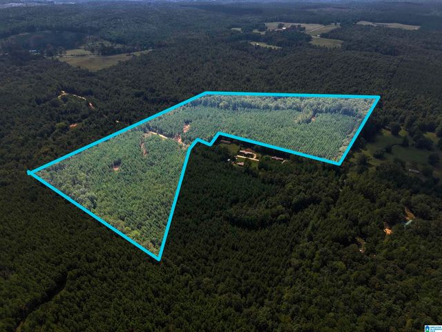 0 VALLEY ROAD, Goodwater, AL 35072