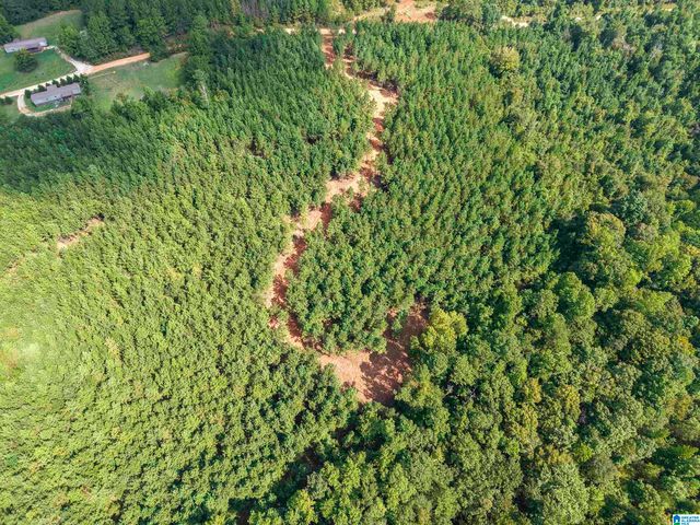 0 VALLEY ROAD, Goodwater, AL 35072